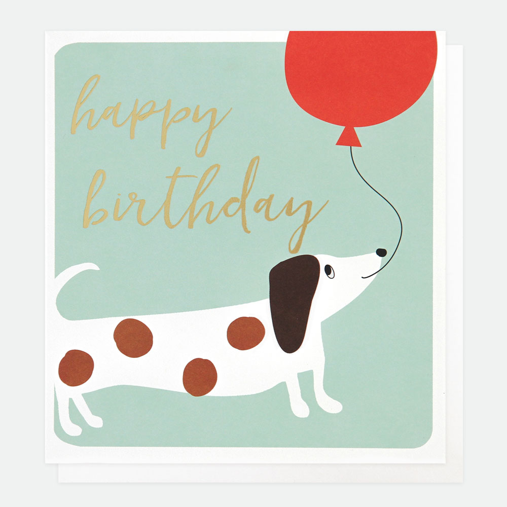 Happy Birthday Sausage Dog  Card Caroline Gardner Pow008