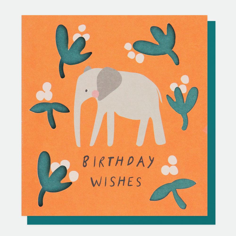 Designer Greetings Card Birthday Card Congratulations Cards Caroline Gardner Cut006 1800x1800