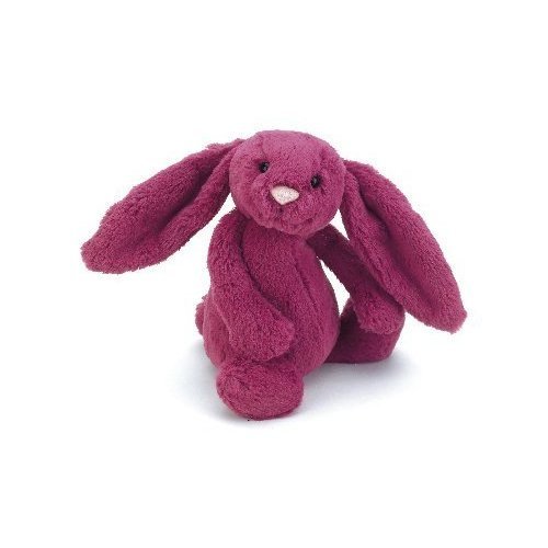 bashful bunny Rose.jpg