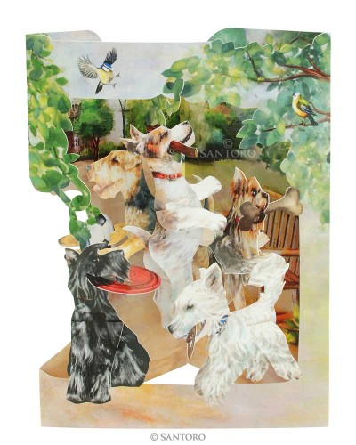 SC175 Terriers Playing WR